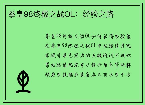 拳皇98终极之战OL：经验之路